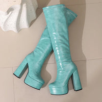 Bottes Femme Grande Taille à Talon Épais et Plateforme – FANAN AYY-A8-13 | Bottes Genou Élégantes & Sexy Automne