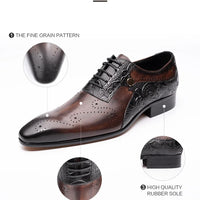 ASIMAYA Brogue Luxe – Chaussures Homme en Cuir Véritable