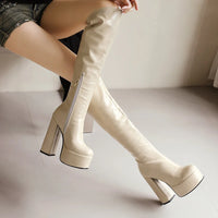 Bottes Femme Grande Taille à Talon Épais et Plateforme – FANAN AYY-A8-13 | Bottes Genou Élégantes & Sexy Automne